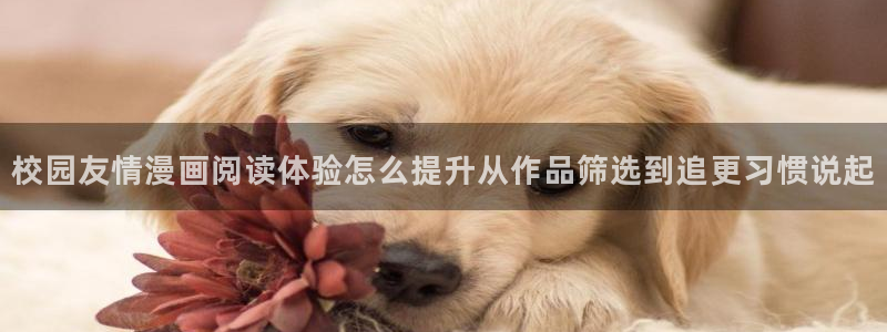 免费漫画网页导航