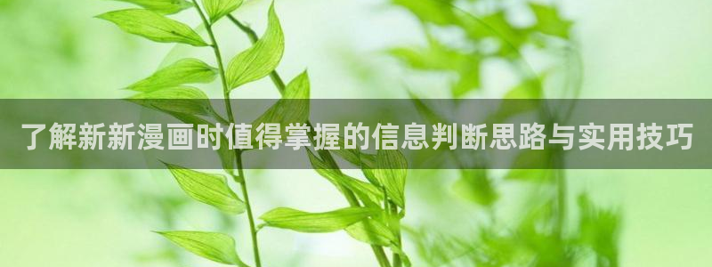 免费漫画少女漫画:了解新新漫画时值得掌握的信息判断思路与实用技巧
